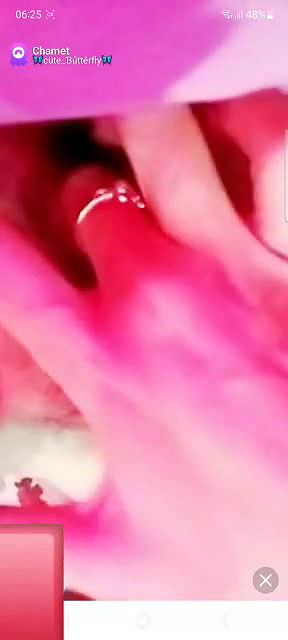 Myd The_Invincible7 channel Chamet Exclusive new all collection – 586