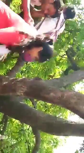 Two Lovers enjoy Smooching each other