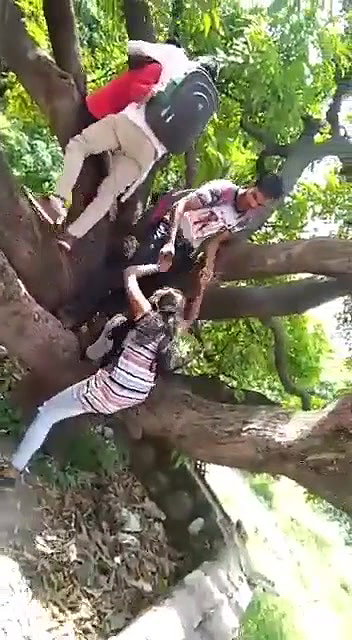 Two Lovers enjoy Smooching each other