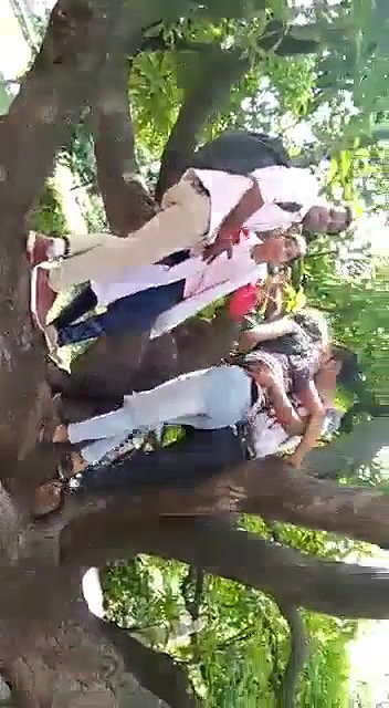 Two Lovers enjoy Smooching each other