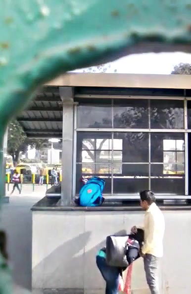 Superhot Couple getting vigrous blowjob in metro