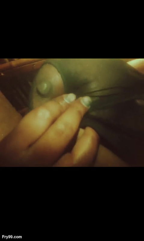 BIG ass hot video xvideo