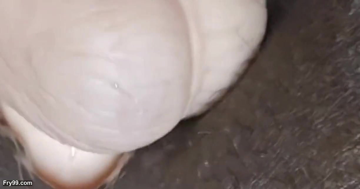 The girl enjoying her self with a big cockin her bedroom