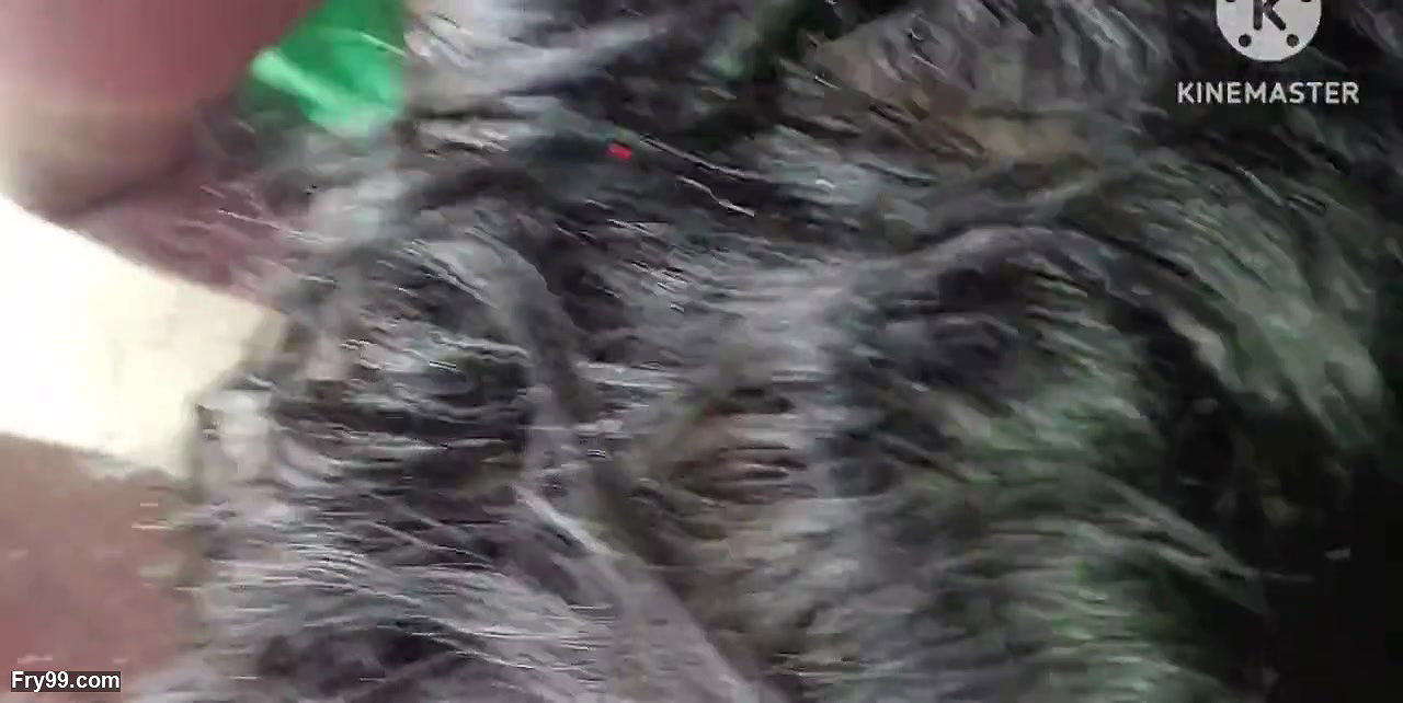 Desi bhabhi ko new design me chudai ki