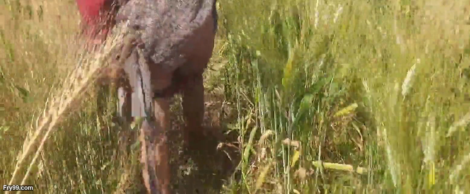 The step-sister-in-law showed her brother-in-law her fat ass in her wheat field with her brother-in-law in the open forest in the field