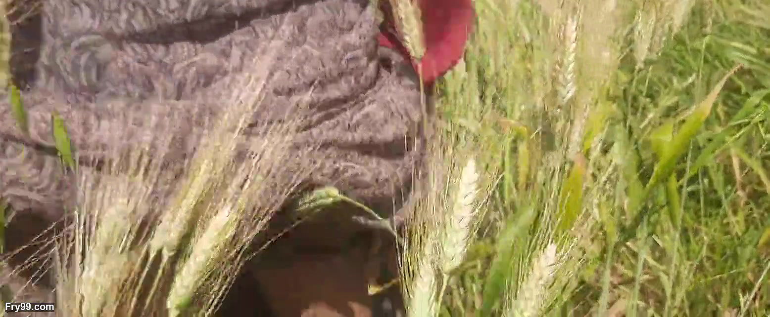 The step-sister-in-law showed her brother-in-law her fat ass in her wheat field with her brother-in-law in the open forest in the field