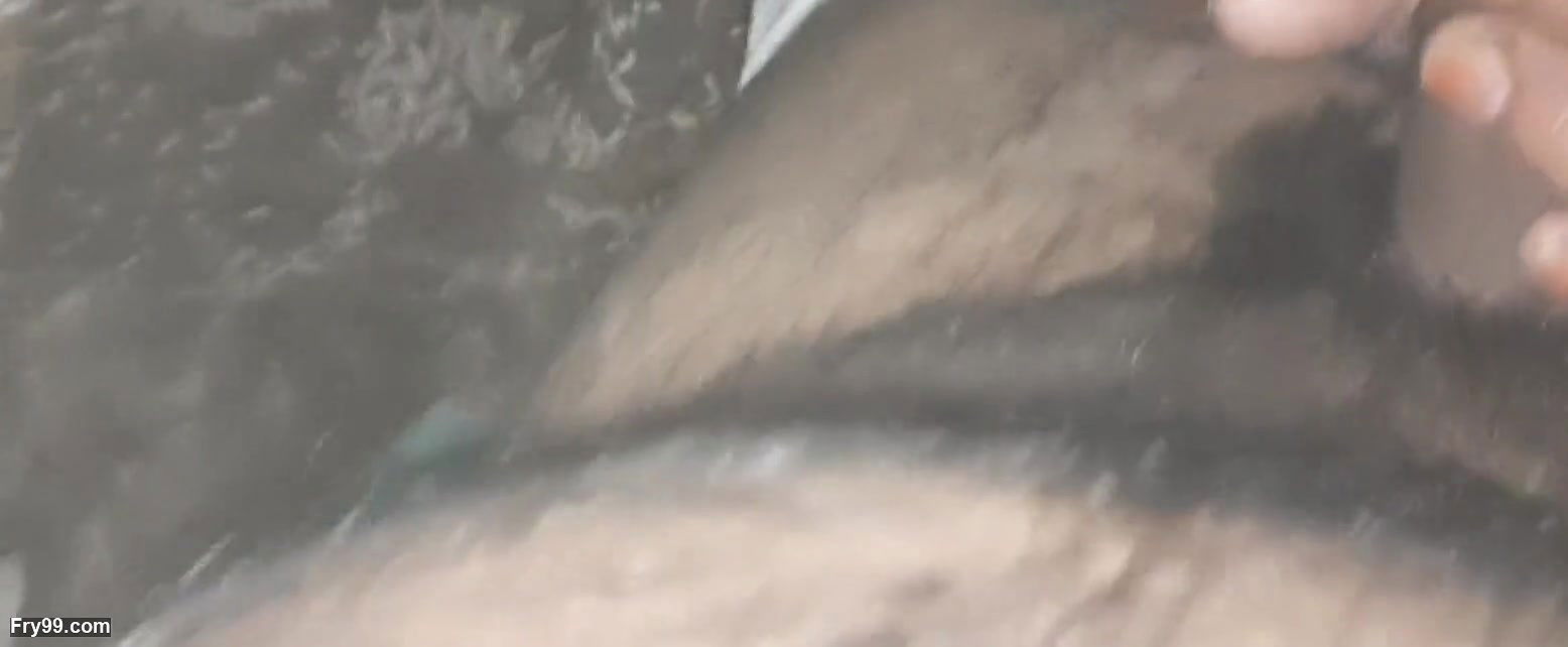 Desi bhabhi is vigorously sucking my cock like ice cream