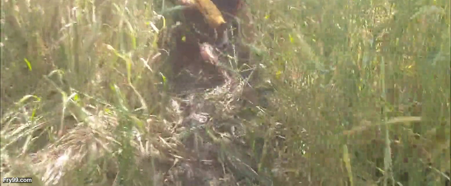 Beautiful sister-in-law in the field, who is roaming in the forest and dropping it and bathing outside in the open bathroom in the field