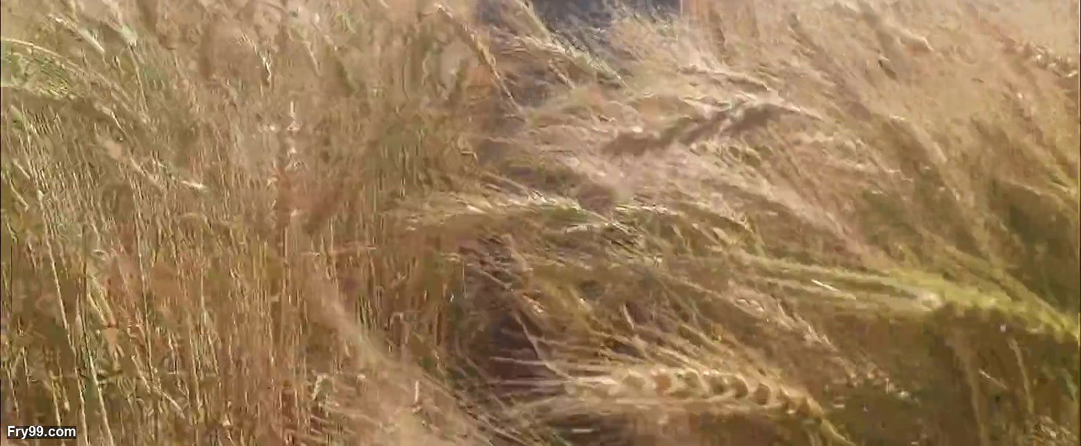 Beautiful sister-in-law in the field, who is roaming in the forest and dropping it and bathing outside in the open bathroom in the field