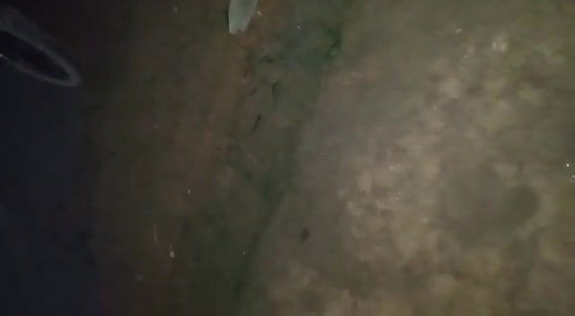 Couple fucking, friend recorded them