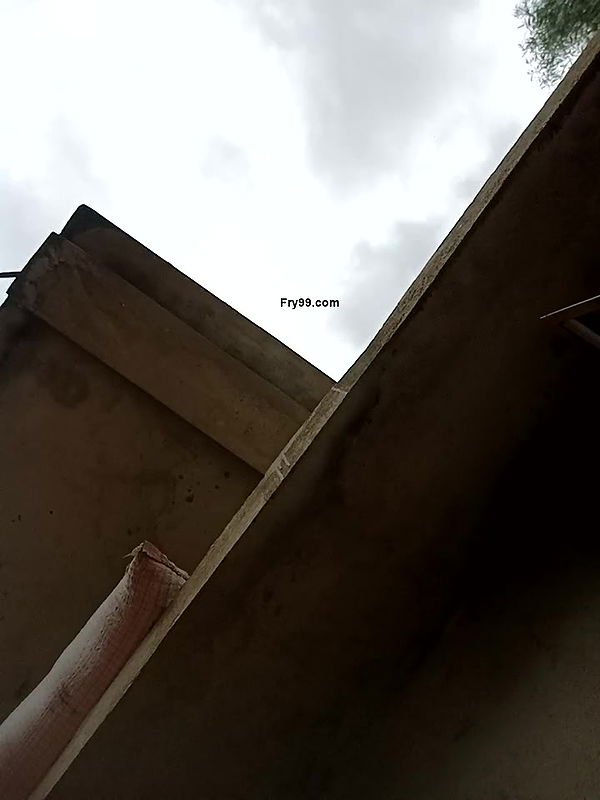 Youtuber Paromita vlog video collection -117