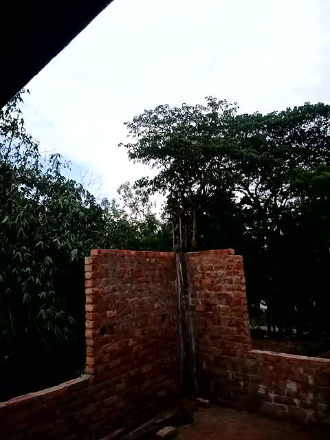 Youtuber Paromita vlog video collection -133