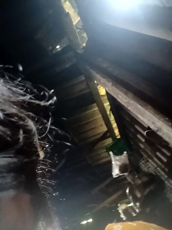 Youtuber Paromita vlog video collection -206