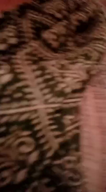 Youtuber Paromita vlog video collection -231