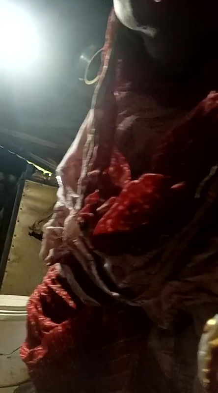 Youtuber Paromita vlog video collection -233