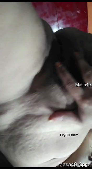 Youtuber zara vlog video collection -474