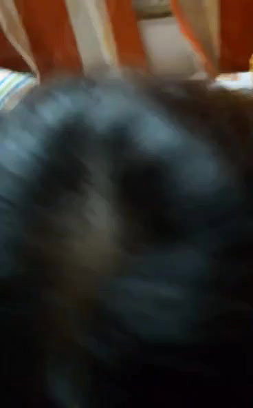 Beautiful Bengali GF 2Vids & Full pics set