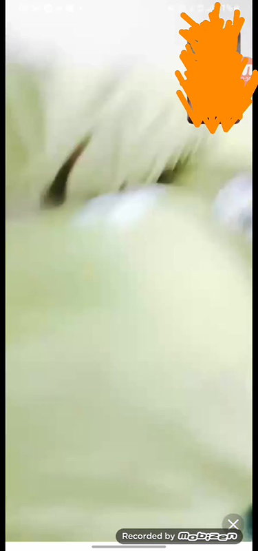 Myd rnd bengali chamet premium video -229