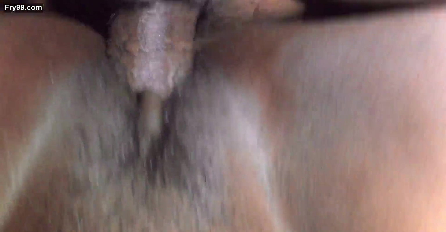 me and my wife fully enjoy hard sex03