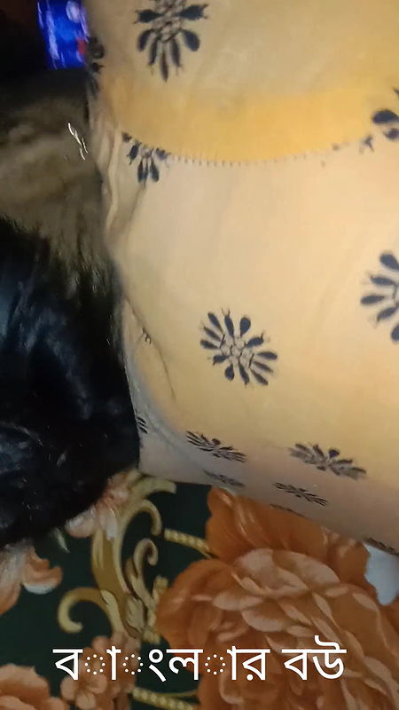 Hasan lizuy sexual video