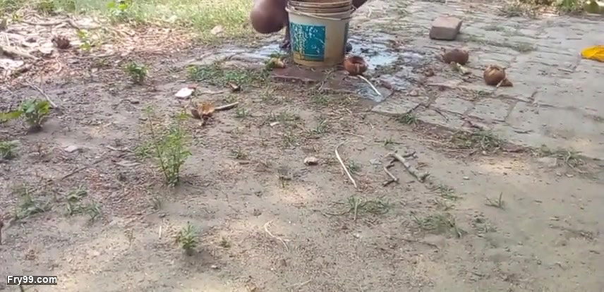 Padosan ki mast chudai outdoor