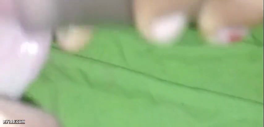 Desi Blowjob Cum in Mouth Big Cock Indian Desi