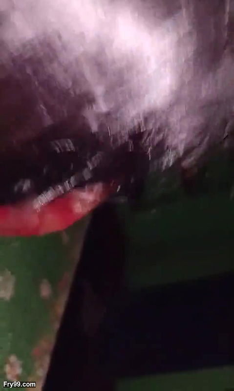 Desi Sex Budhi Wife Ka Maje Se Bohat Choda Raat Me