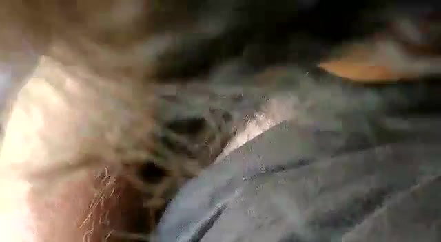 Car fucking