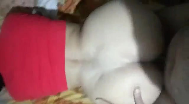 Big ass doggy