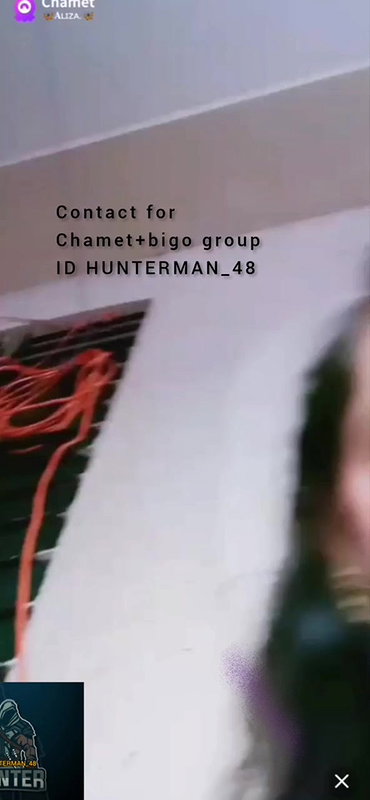 Myd random chamet collection 1042025-369