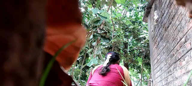 Bhabhi pissing,captured