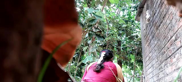 Bhabhi pissing,captured