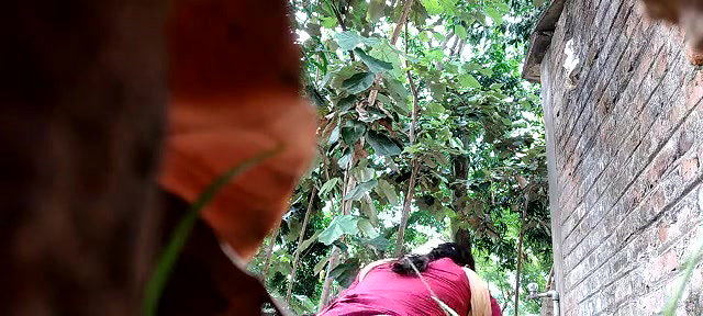 Bhabhi pissing,captured