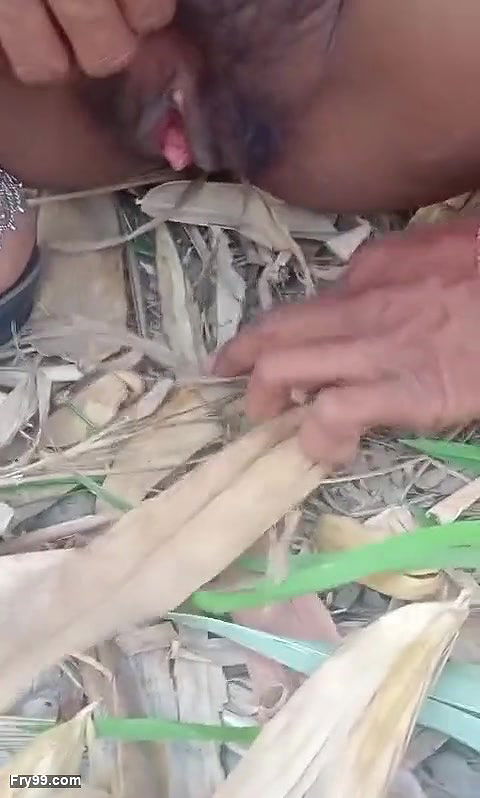 village local bhabhi outdoor sex video