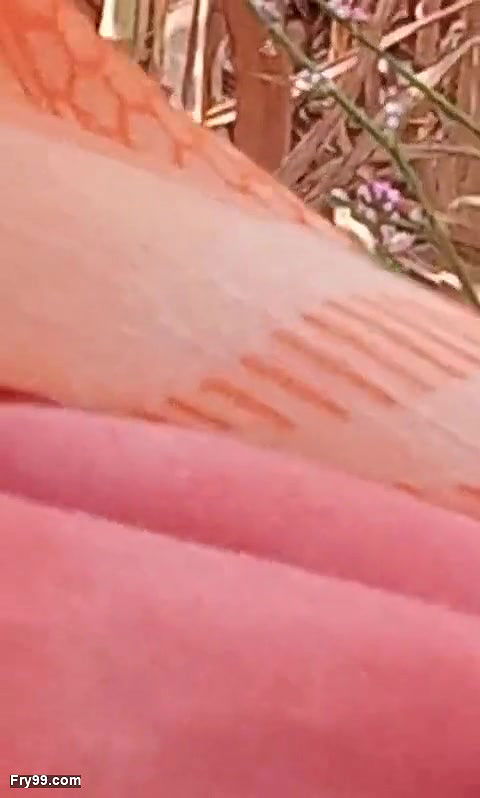 village bhabhi outdoor sex video