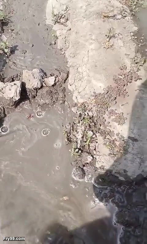 village bhabhi outdoor sex video