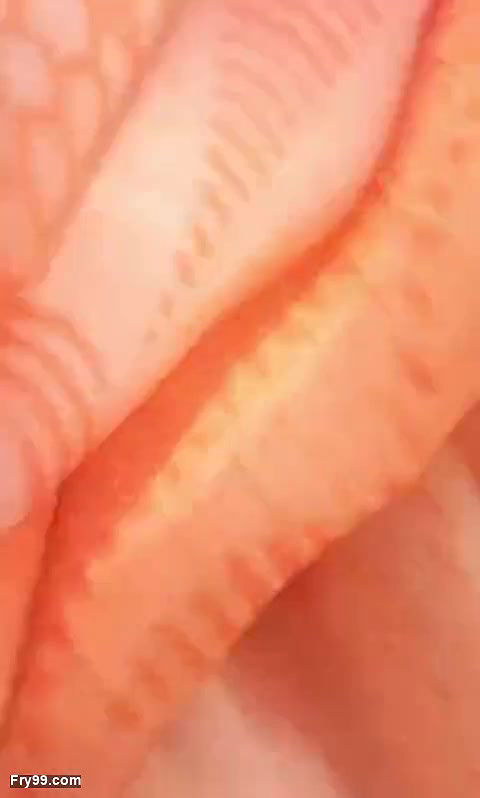 village bhabhi outdoor sex video