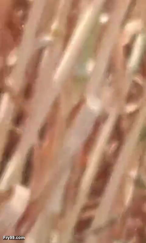 village bhabhi outdoor sex video