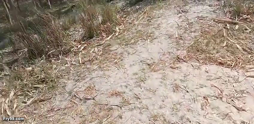 desi bhabhi Jungle me mangal karte video