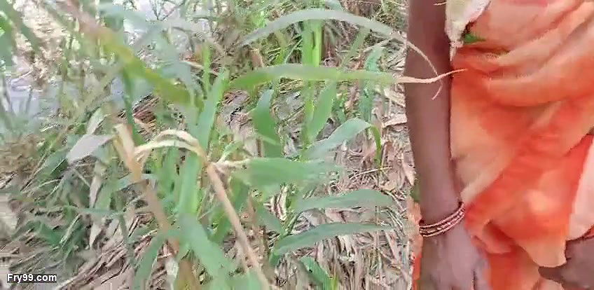 desi bhabhi Jungle me mangal karte video