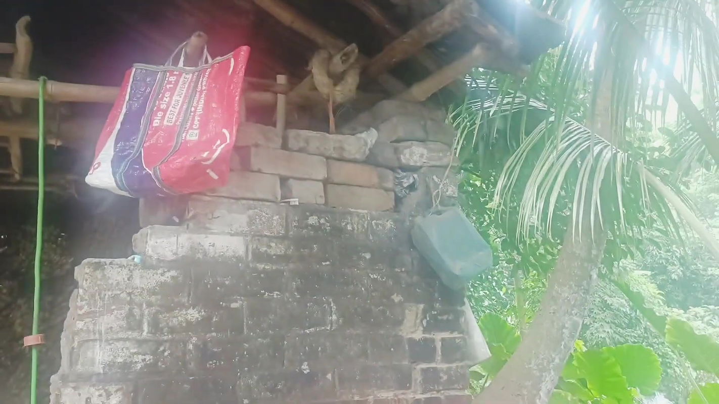 Random youtube  video collection -160