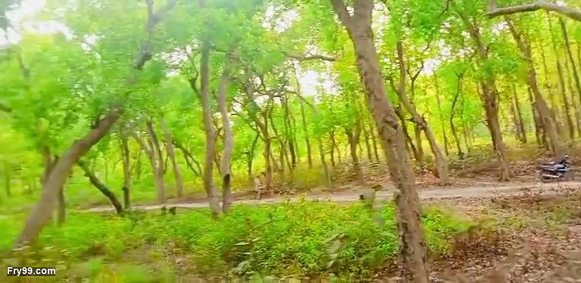 village bhabhi jangal me mangal xxx video