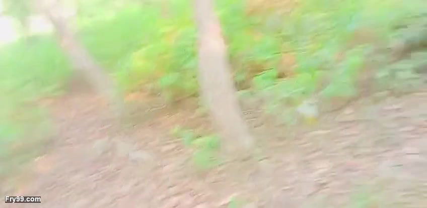 village bhabhi jangal me mangal xxx video