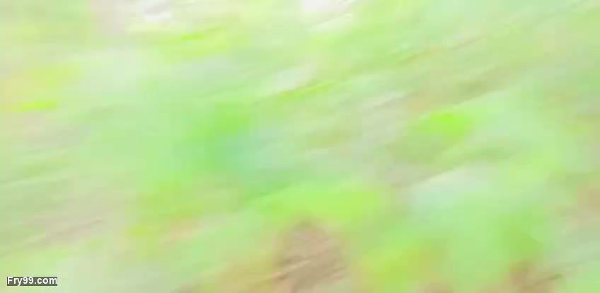 village bhabhi jangal me mangal xxx video