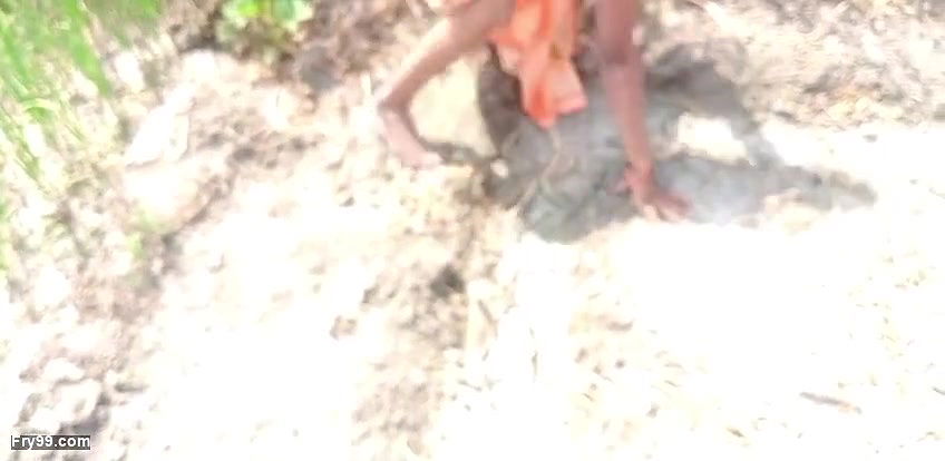 indian bhabhi xxx sexy video in the field