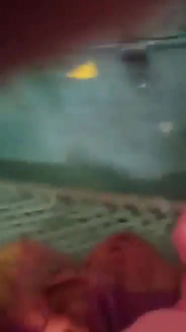 Village cutie giving blowjob