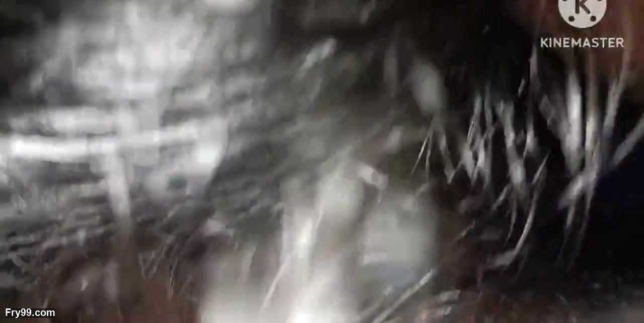 Desi hot indian mommy doing bowlojab in hotel room