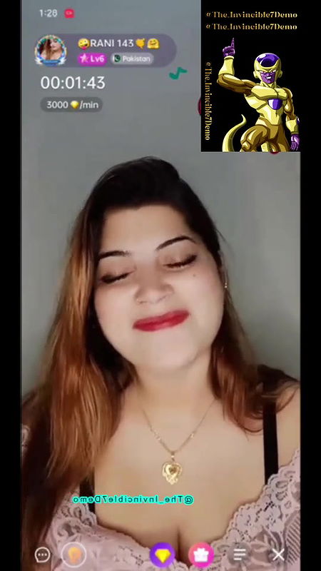 Rani 143 f 9.06 Chamet