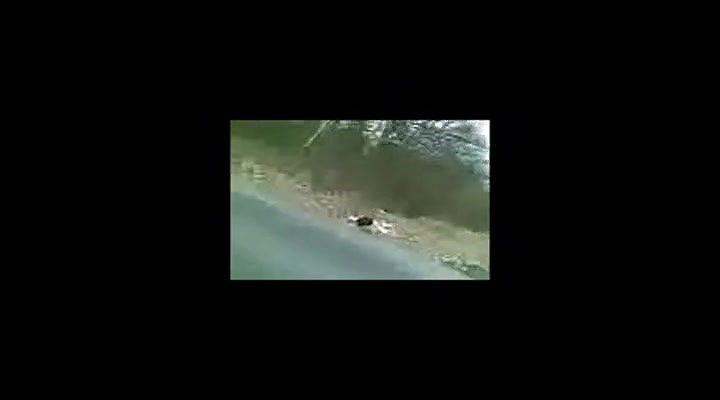 Global prostitute Uncensored video collection – 443