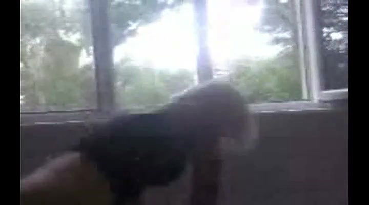 Global prostitute Uncensored video collection – 430